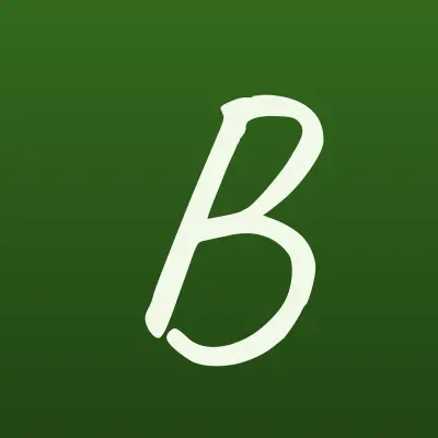 Бнк-финанс, микрокредитная компания, лого-визитка